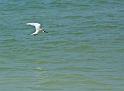 DSC_0167web