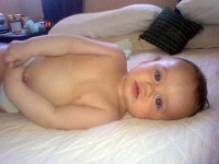 DSC00530